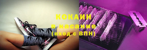 твердый Магас