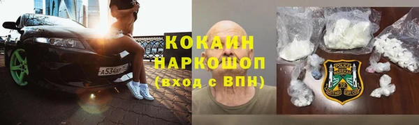 твердый Магас
