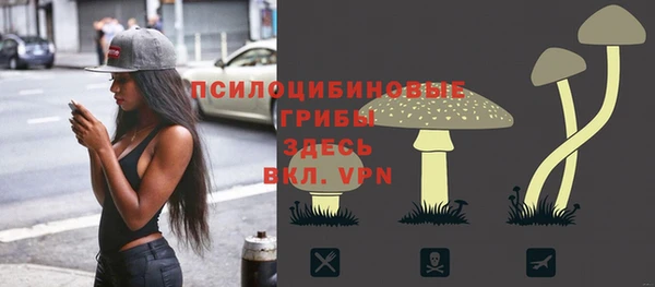 твердый Магас