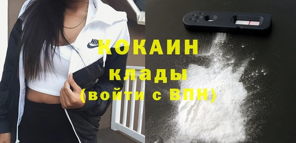 твердый Магас