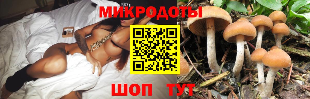 Галлюциногенные грибы мицелий Северодвинск