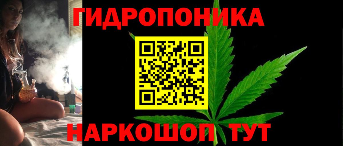 Codein Северодвинск